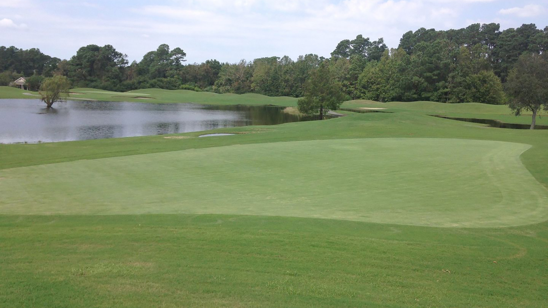 lion's paw golf course